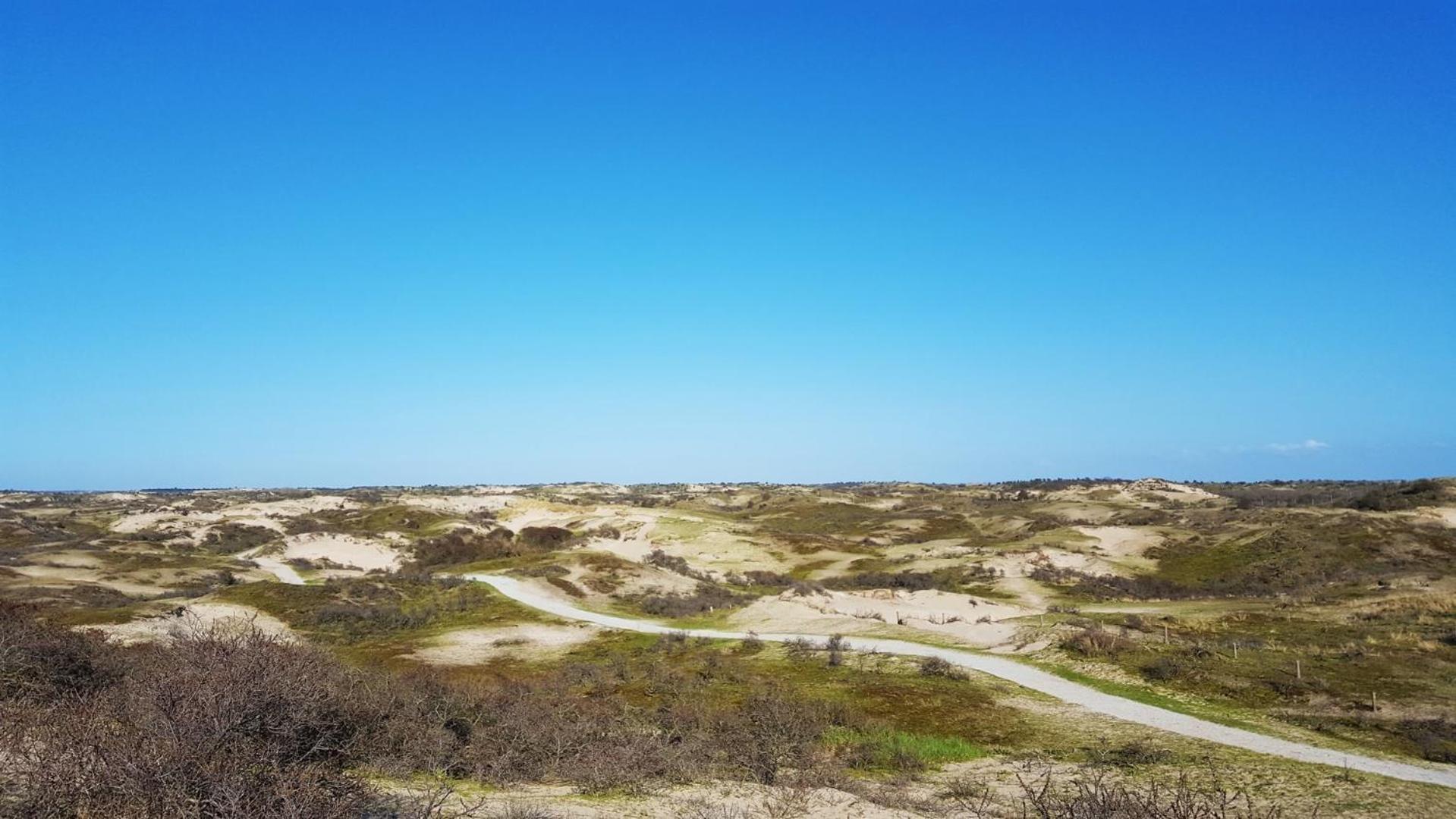 Bamboe Suite Bentveld Met Ligbad En Gratis Parkeren Bagian luar foto